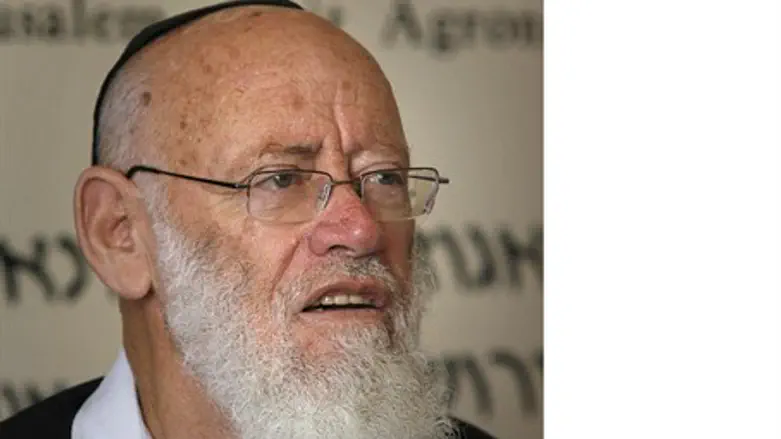 Levinger at construction site protest