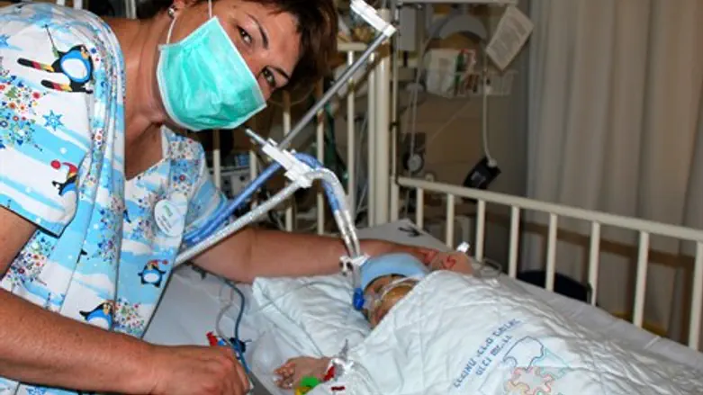 מושתלת הכבד הקטנה עם מתאמת ההשתלות