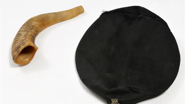 נחשף: שופר המחאה   