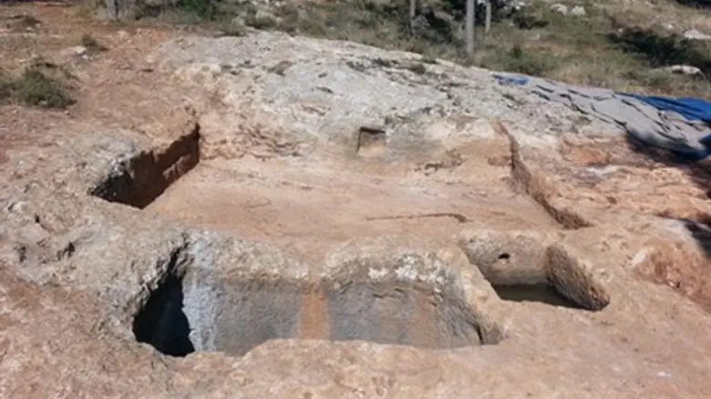 הגת שנחשפה בנווה יעקב