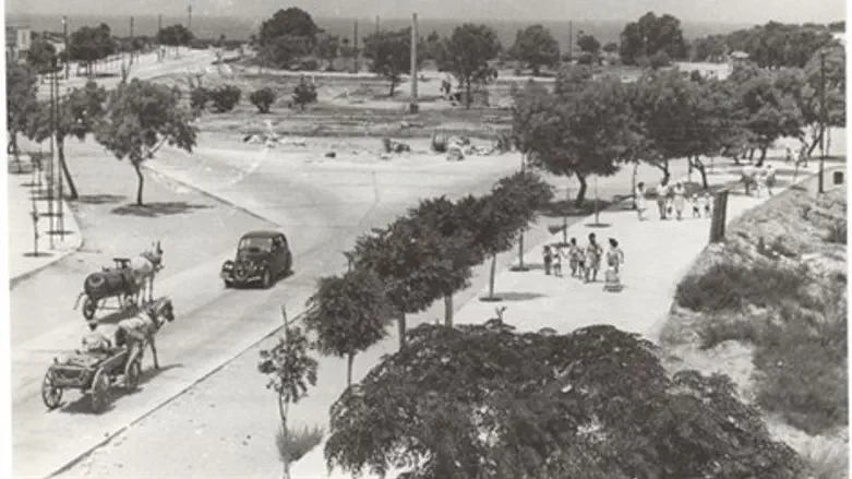 סיפורו של רחוב