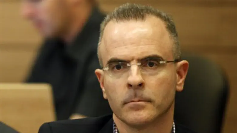 דיוויד גילה