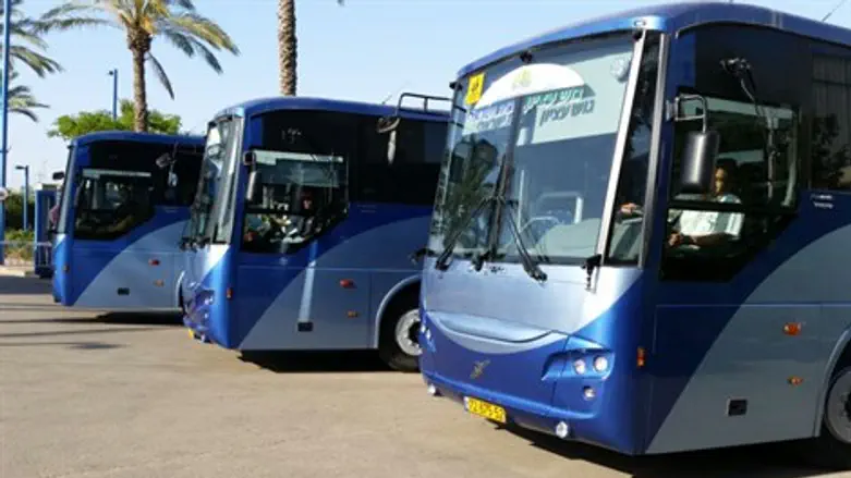 האוטובוסים החדשים