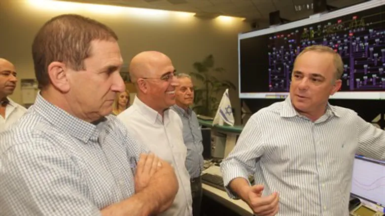 שטייניץ בחברת החשמל