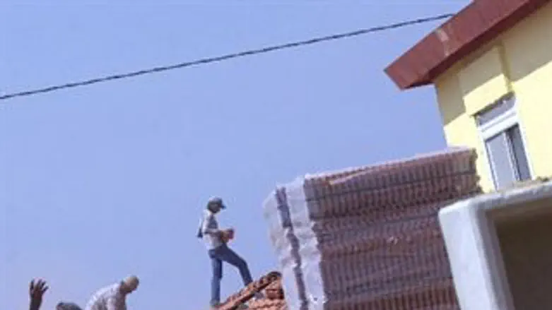 קראווילות בניצן