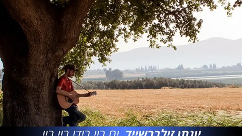 ים ביי בידי ביי ביי 