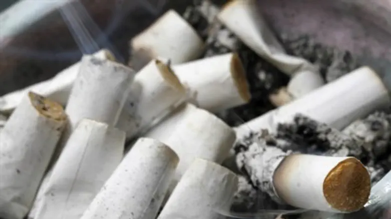 מה מסתירים הבדלים?