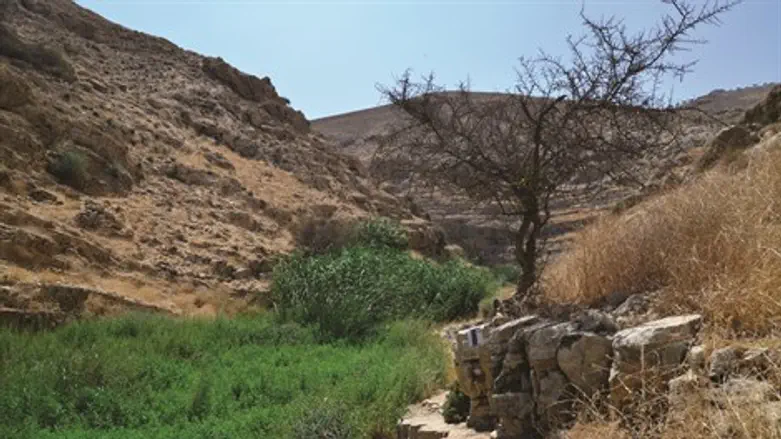 פנינת חמד שעוד לא נפגעה מפיתוח