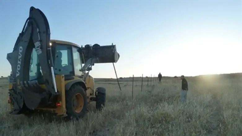 פינוי המכלאה