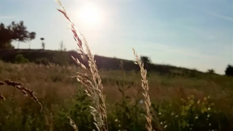 האור שבסוף סיוון