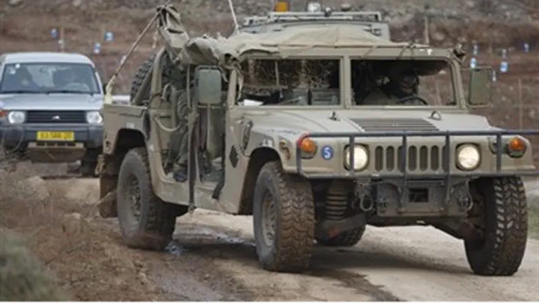 Israel-Syria border (file)