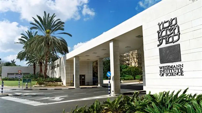 חנוכה מלא אור וצבעים בגן המדע. מכון ויצמן למדע.