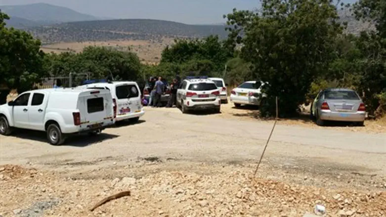 רכבי המשטרה 