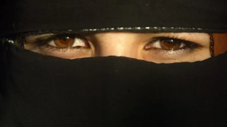 אילוסטרציה