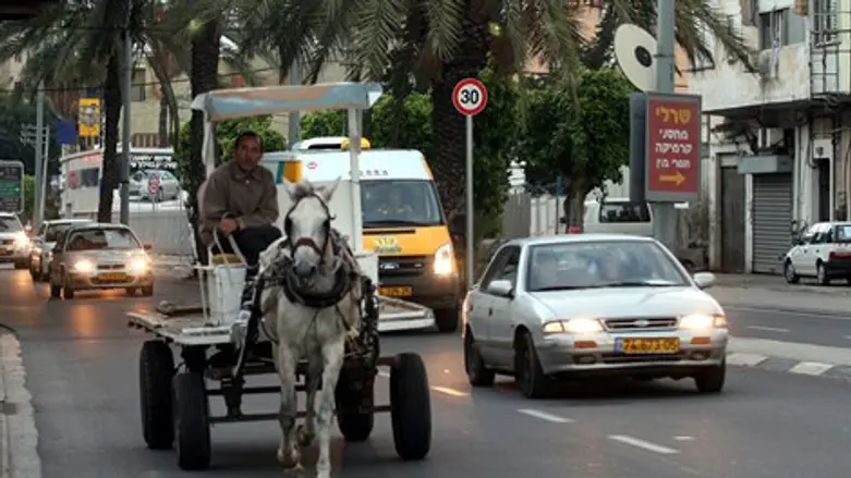אלטע זאכן סוס עגלה כביש