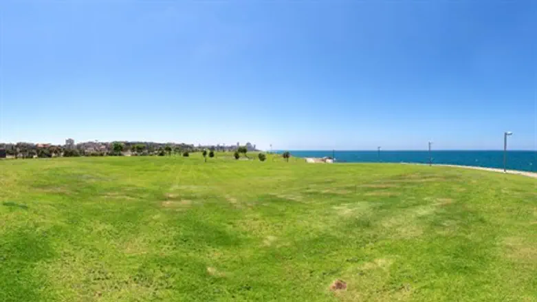 פארק ביפו- אין צל