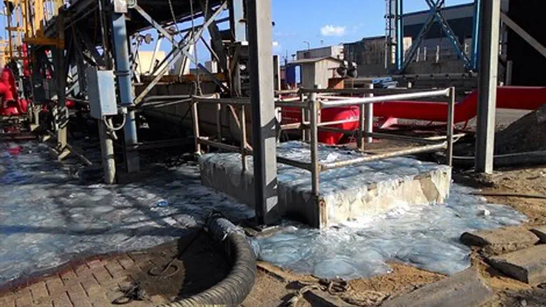 ההתמודדות עם המדוזות