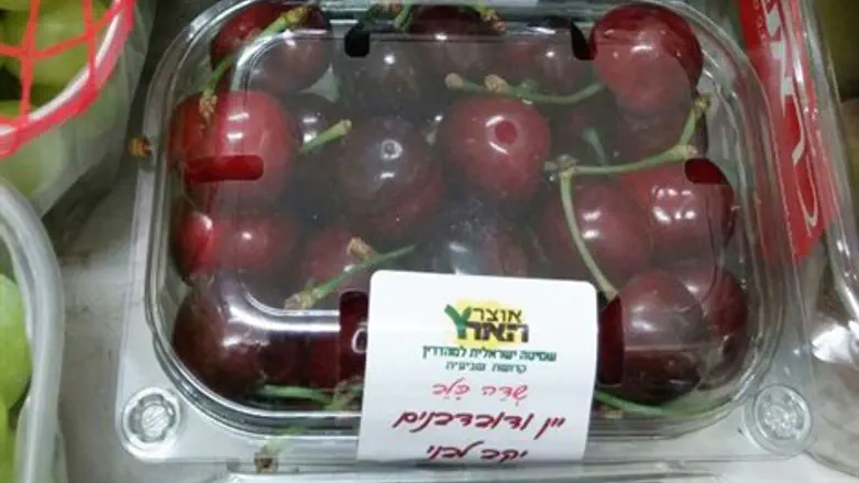 “אוצר בית דין משמר את השביעית והקדושה”.