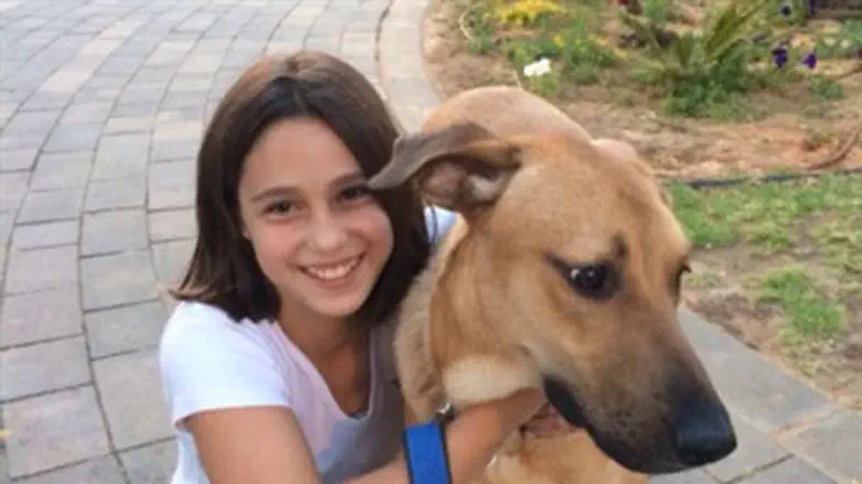 אור קורן ז"ל