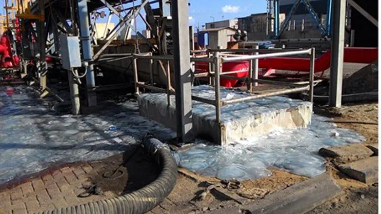 Электростанция, "оккупированная" медузами