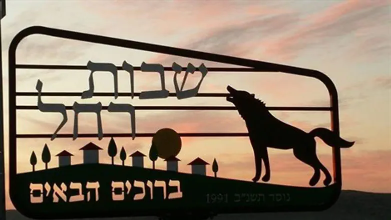 לדאוג לביטחון.