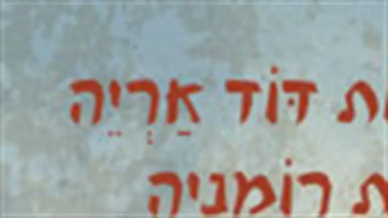 דוד אריה