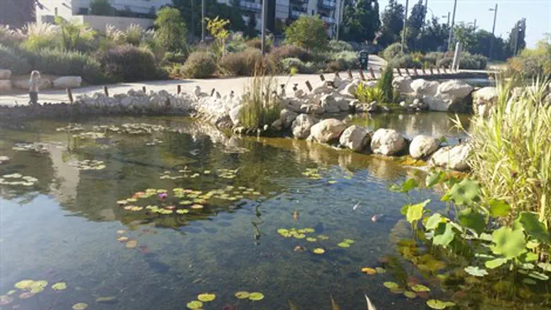 פארק רמת  השרון