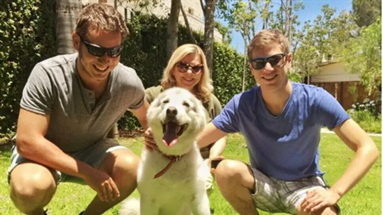 Собака Кая. Иллюстрация