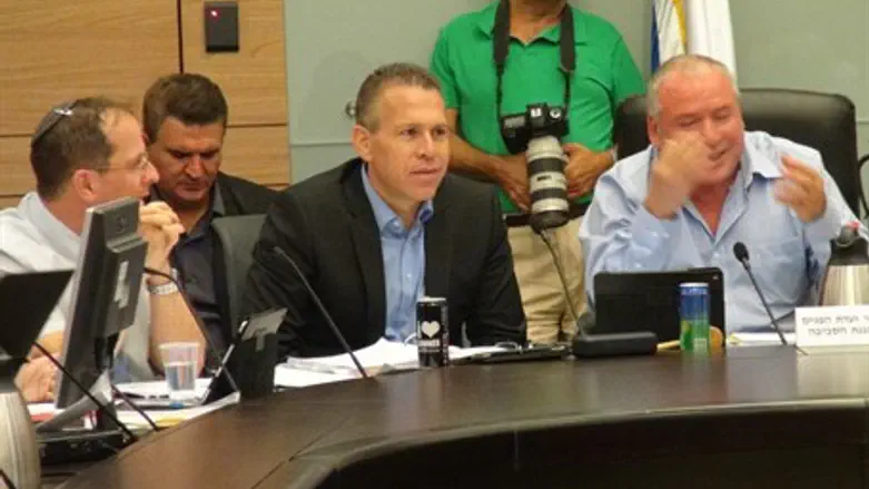 Min. Erdan at Interior Committee