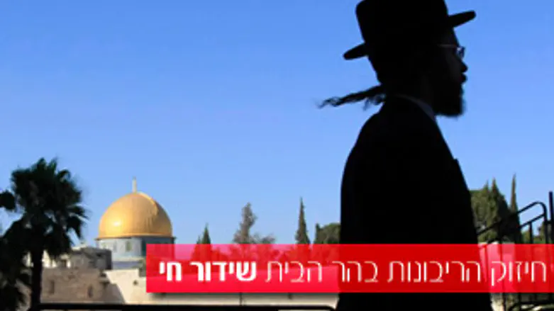 שידור חי