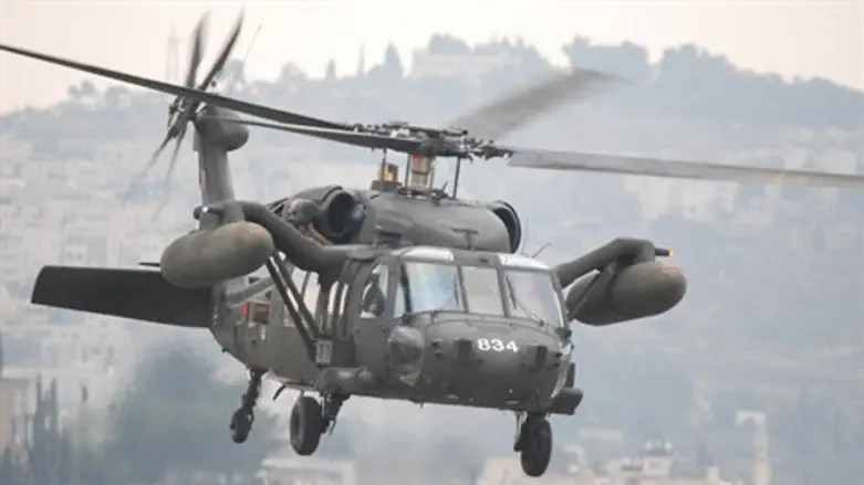 ציפורי המדבר