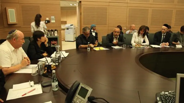 חברי ועדת החוקה היום