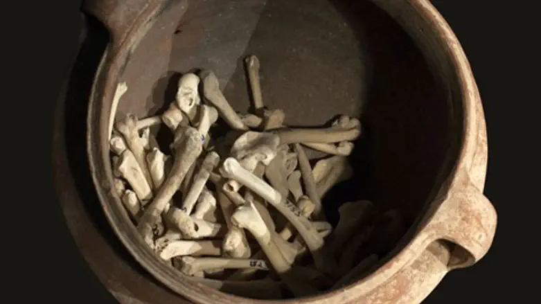 העצמות שנחשפו