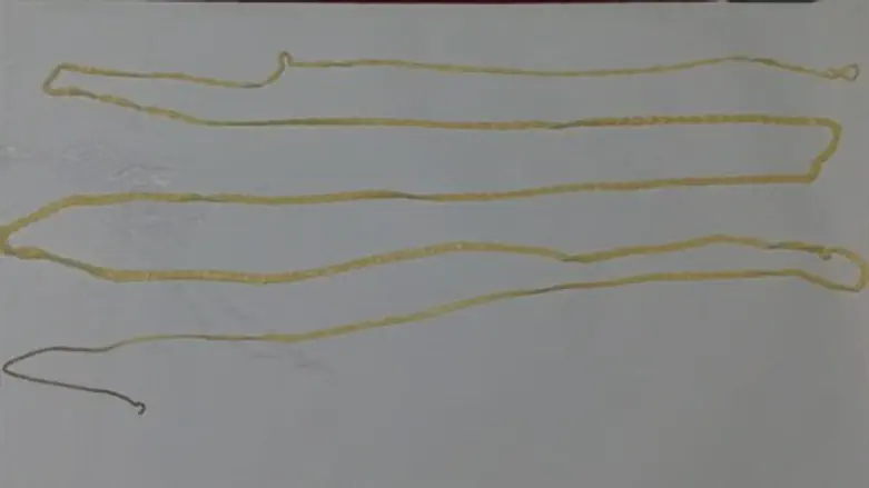 התולעת הגדולה