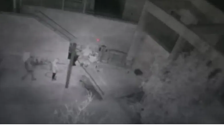 הצתת הדו לשוני