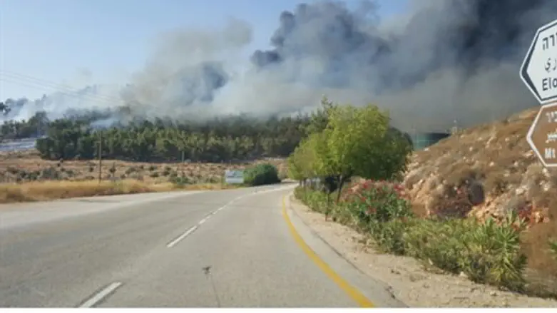 Пожар в Элон-Морэ. Иллюстрация