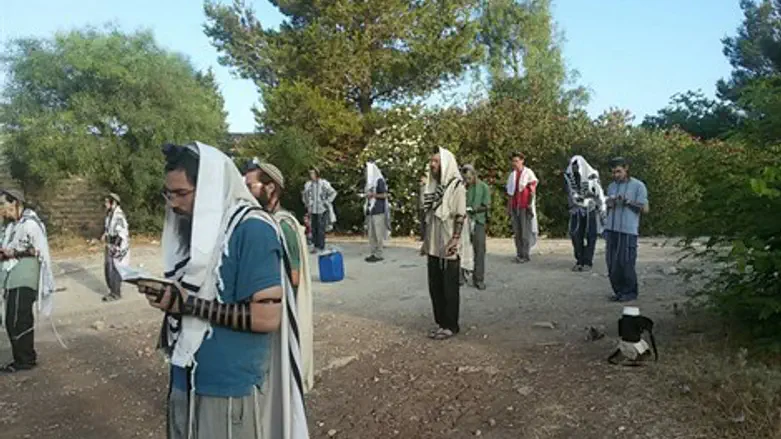 שאנור הבוקר