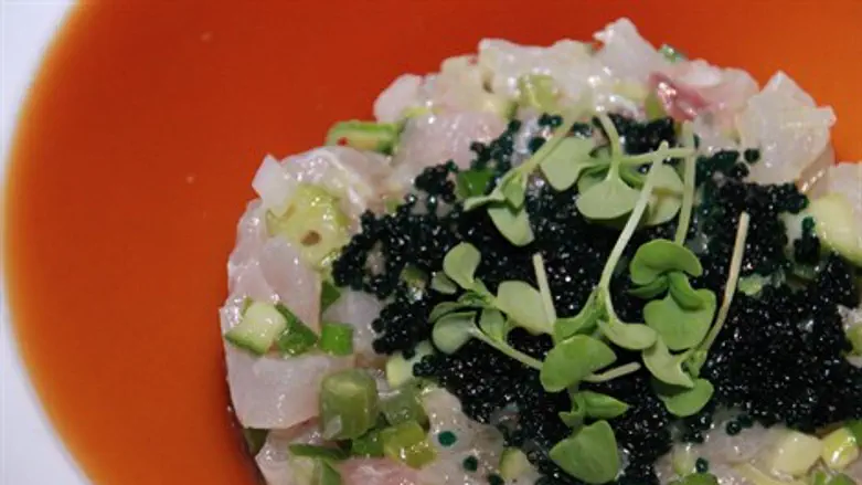 TWO באב ב TOKO ועוד