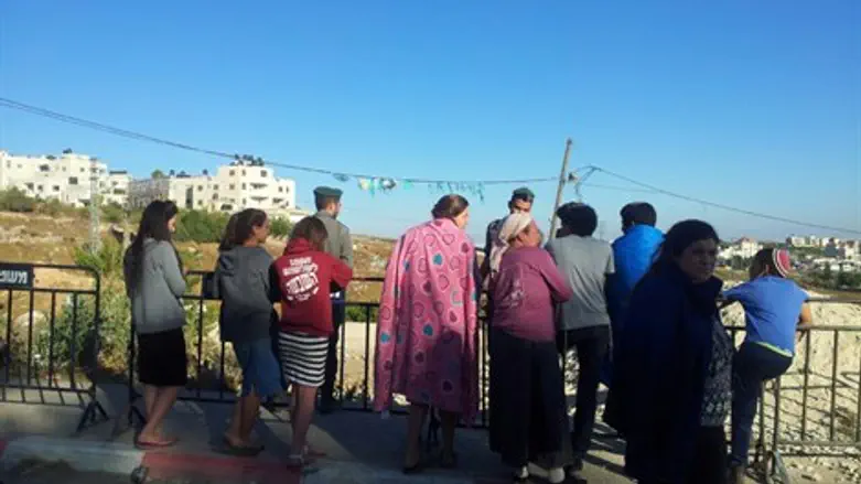 נערות בתי דריינוף