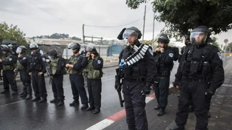 Police forces (file)