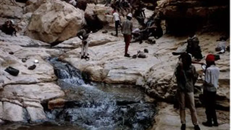 לשמור ולהישמר