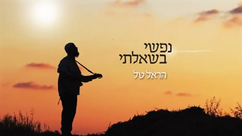 נפשי בשאלתי