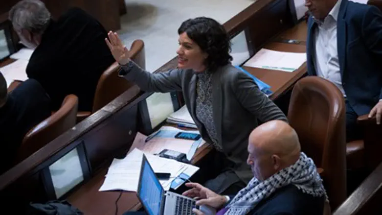 MK Tamar Zandberg (file)