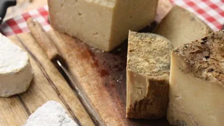 Cheese (illustration)