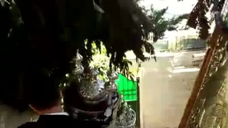 Torah scrolls removed from synagogue