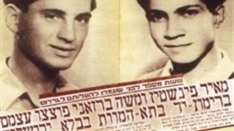 ברזני ופיינשטיין