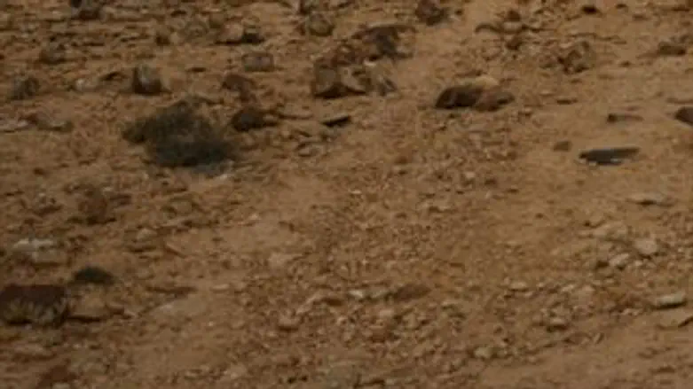 מוכרים את אדמת הארץ.