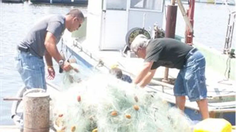 הדגים הושמדו.