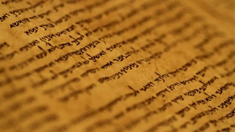 Dead Sea Scrolls