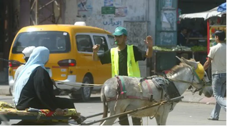 Телега с ослом (Иллюстрация)